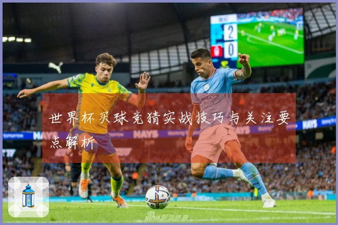 世界杯买球竞猜实战技巧与关注要点解析