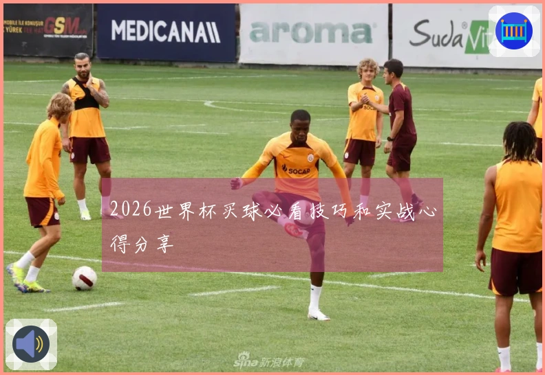 2026世界杯买球必看技巧和实战心得分享