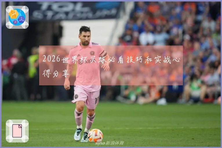 2026世界杯买球必看技巧和实战心得分享