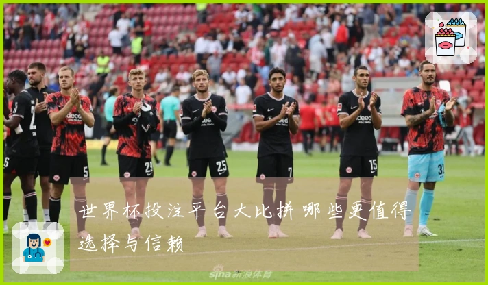 世界杯投注平台大比拼 哪些更值得选择与信赖