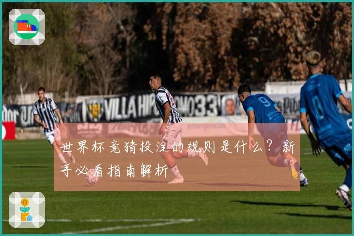 世界杯竞猜投注的规则是什么？新手必看指南解析