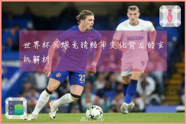 世界杯买球竞猜赔率变化背后的玄机解析
