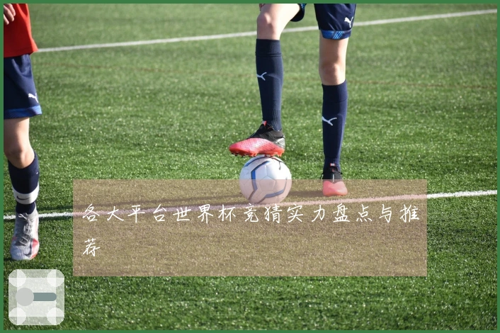 各大平台世界杯竞猜实力盘点与推荐