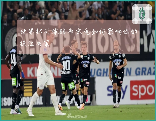 世界杯买球赔率究竟如何影响你的投注决策