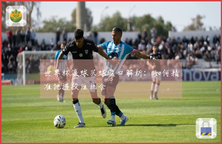 世界杯滚球买球盘口解析：如何精准把握投注机会