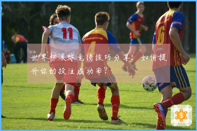 世界杯滚球竞猜技巧分享：如何提升你的投注成功率？
