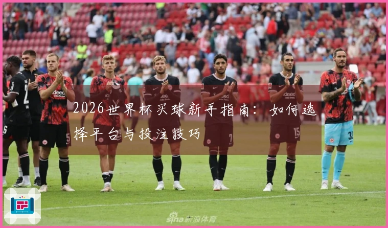 2026世界杯买球新手指南：如何选择平台与投注技巧